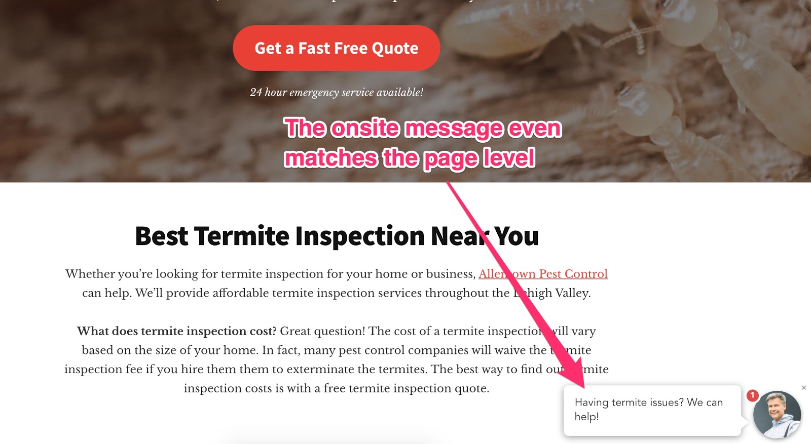 termite onsite message